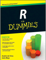 R dummies.pdf